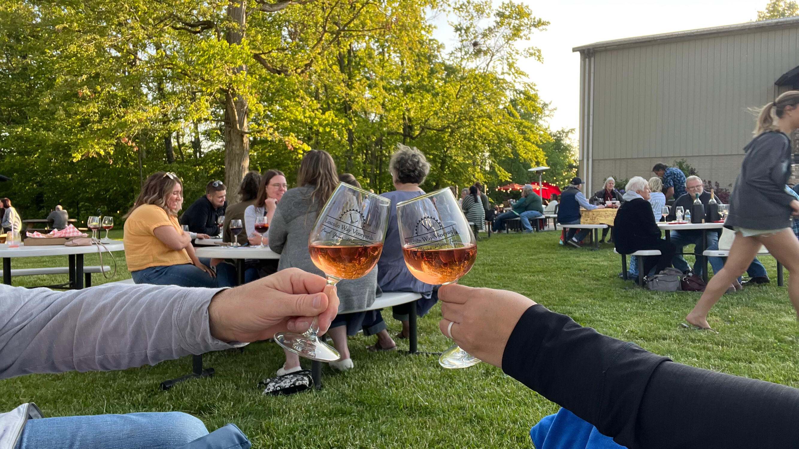 hh_lincoln-way-vineyards_mid_364268_michelle-coleman_23-05-29_GpeWzkGq4EocROQ0_00f135d9d5dc0a424e8a995884b65dc4.jpg