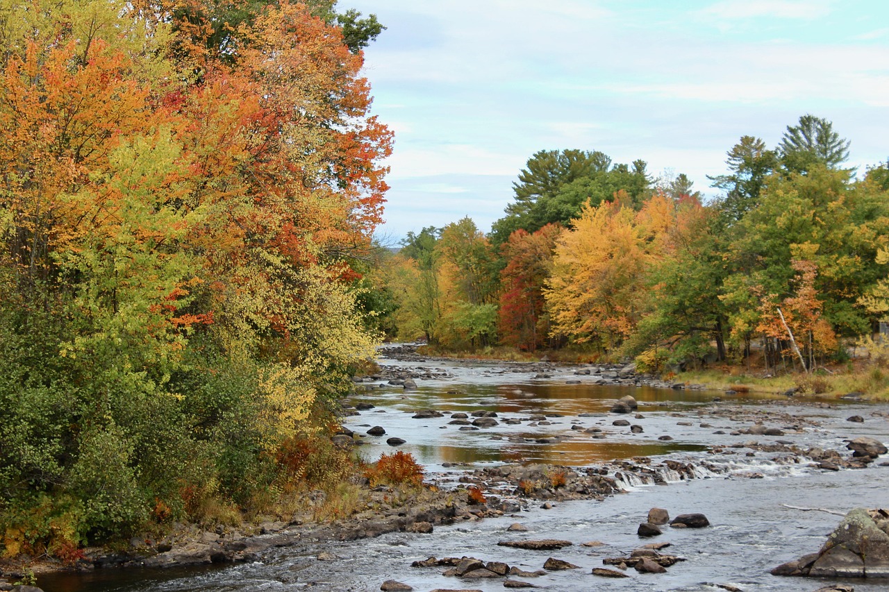 fall-4647275_1280.jpg