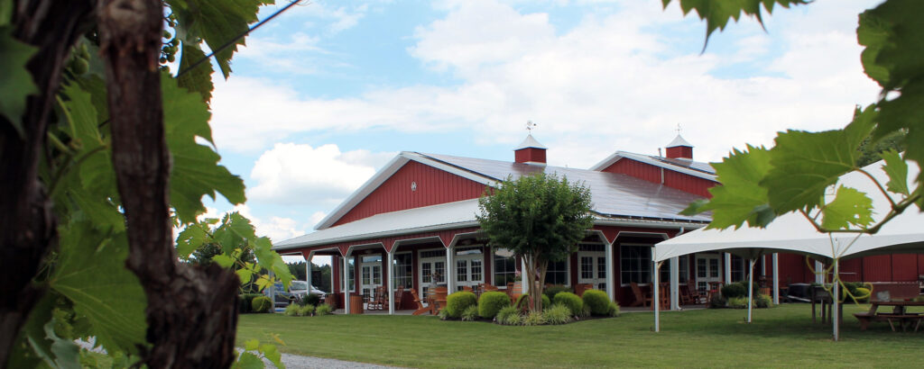 wp-content-uploads-2021-05-Laytons-Chance-Vineyard-and-Winery-1024x410.jpg