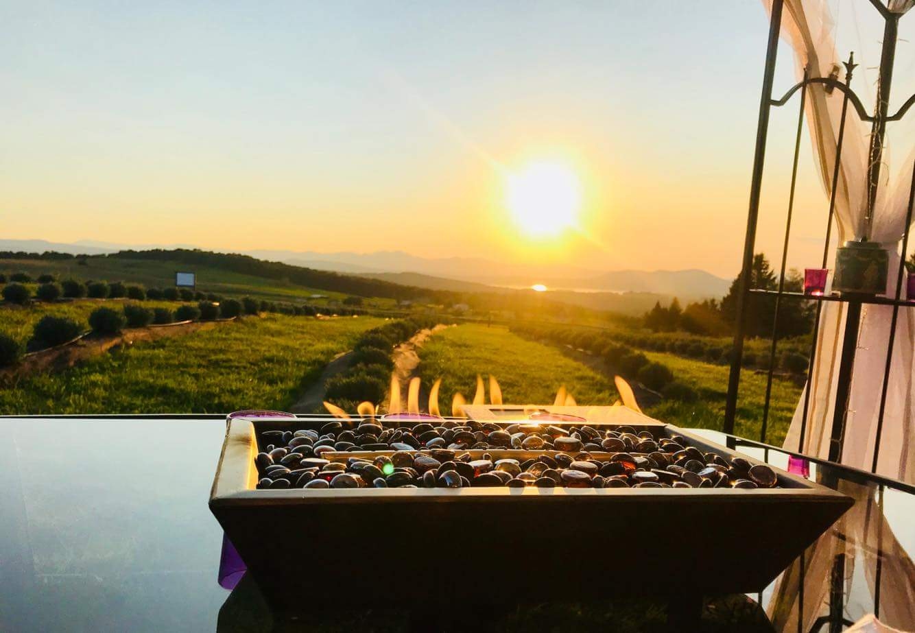 Lavender Essentials of Vermont