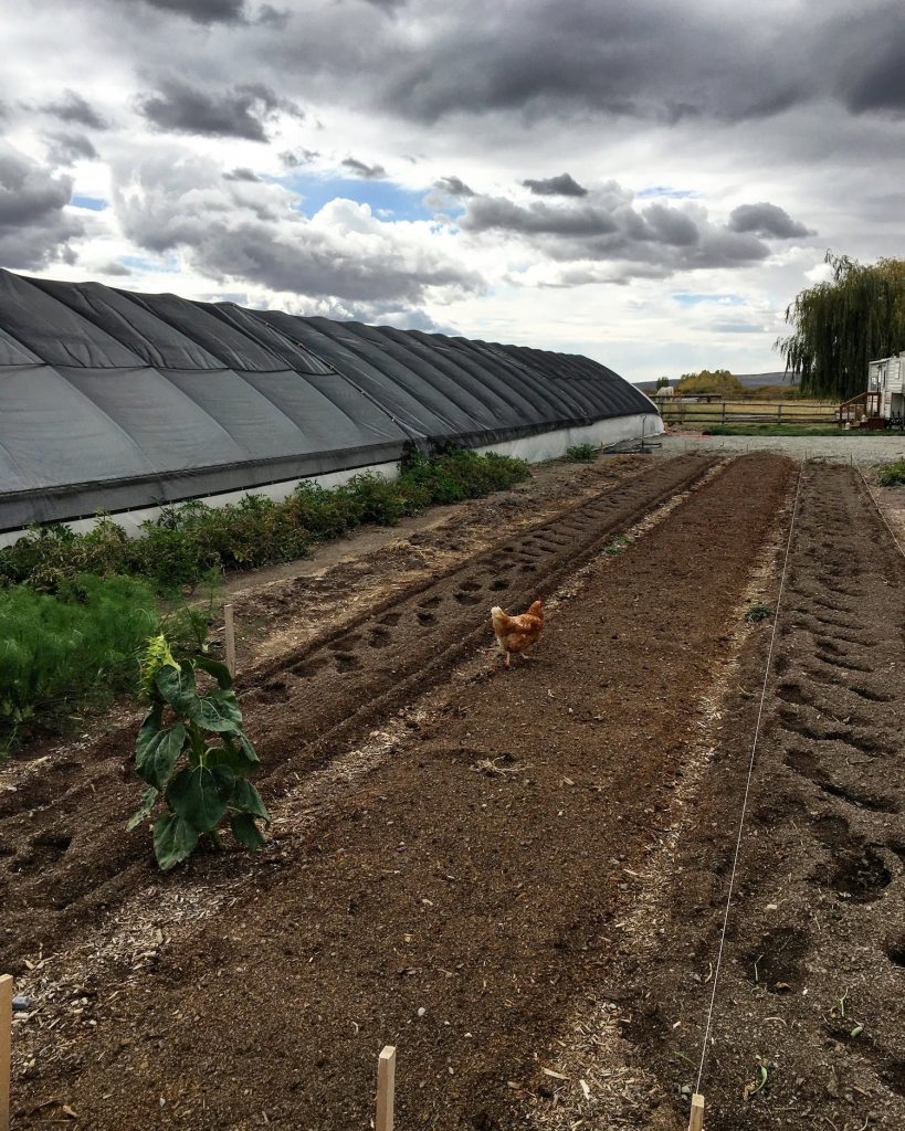 Kraay's Market & Garden is a beautiful farm in Bellevue, Idaho.