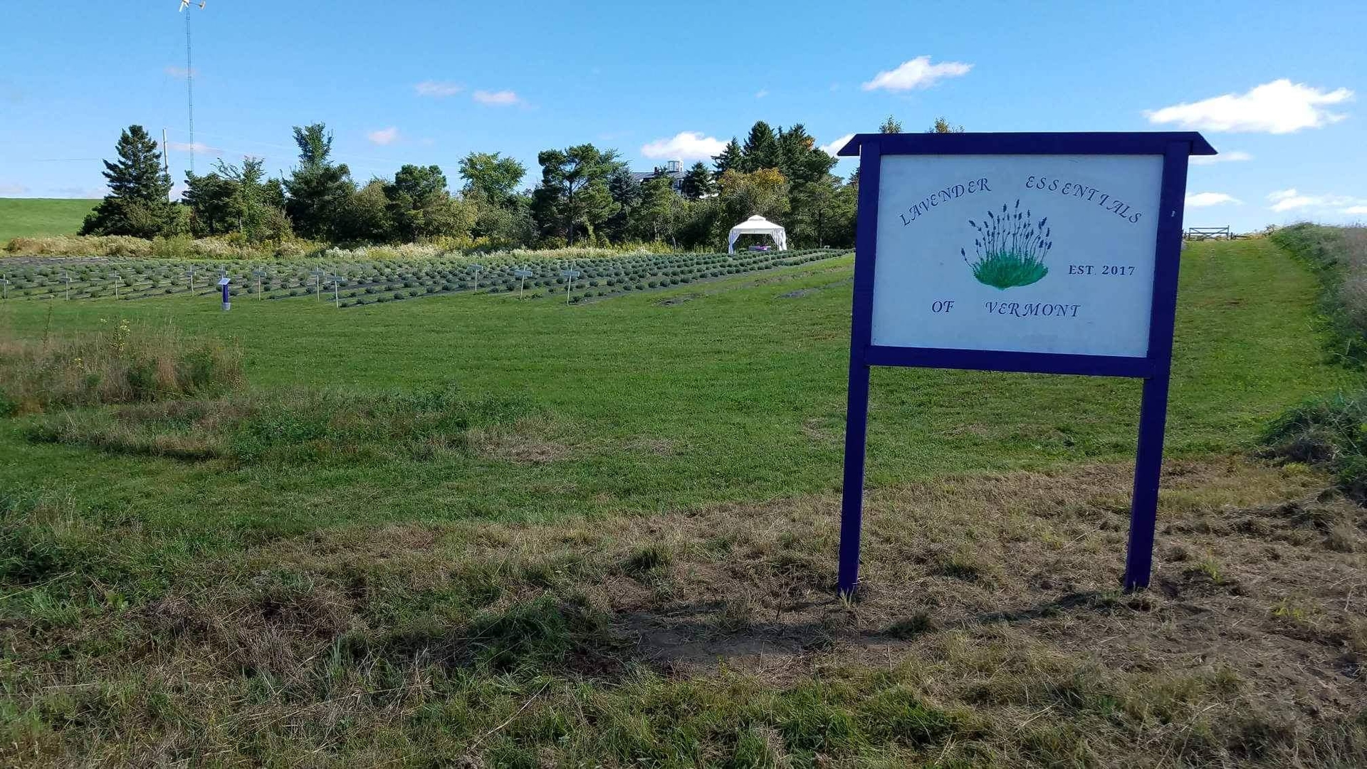 Lavender Essentials of Vermont