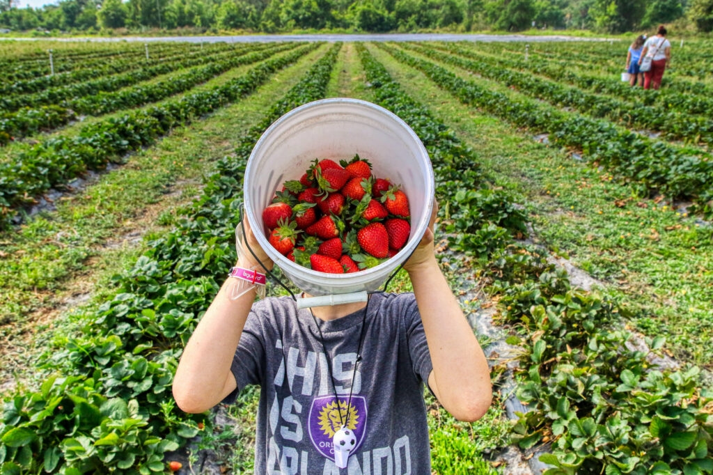 Bowman Orchards is one of our amazing Harvest Hosts locations near Albany New York.