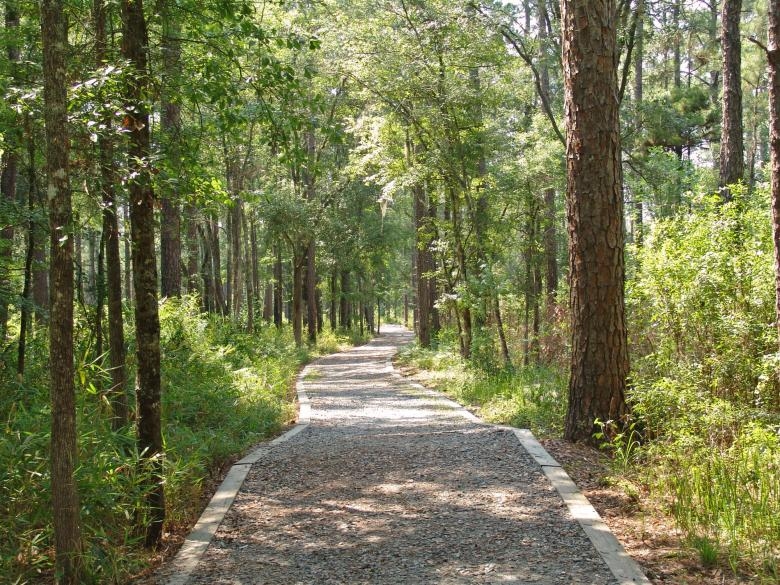 You can see this sight in southern Georgia in your RV