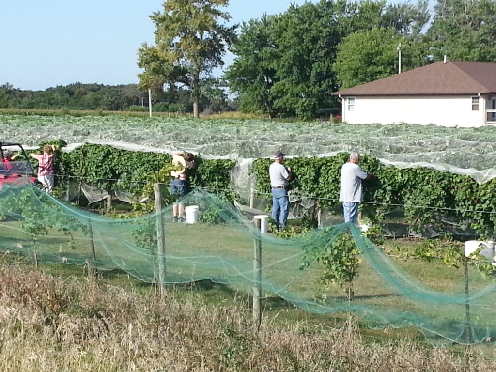 wp-content-uploads-2021-10-20130910_093307-1024x768.jpg