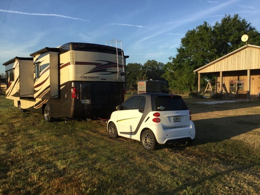 wp-content-uploads-2019-06-bee-HH-1024x768.jpg