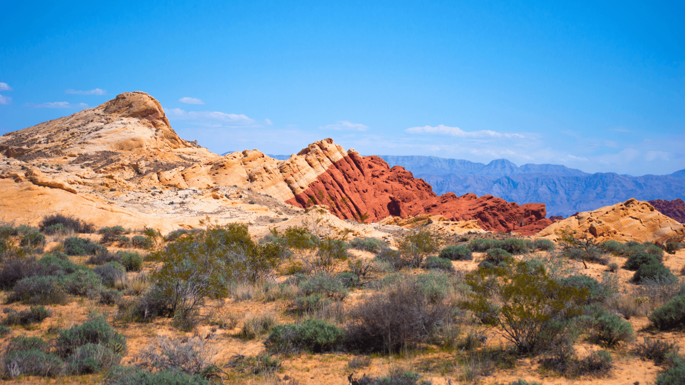 Road Tripping through Northern Nevada