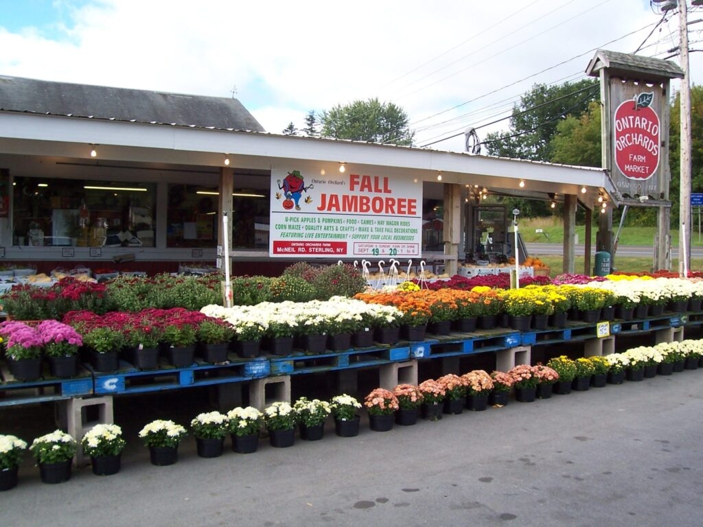 Ontario Orchards is one of our amazing Harvest Hosts locations in upstate New York.