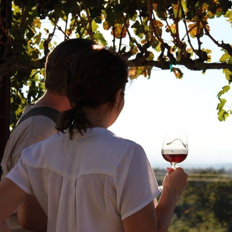 People from all over the country come to visit and enjoy wine at this gorgeous Manton vineyard.