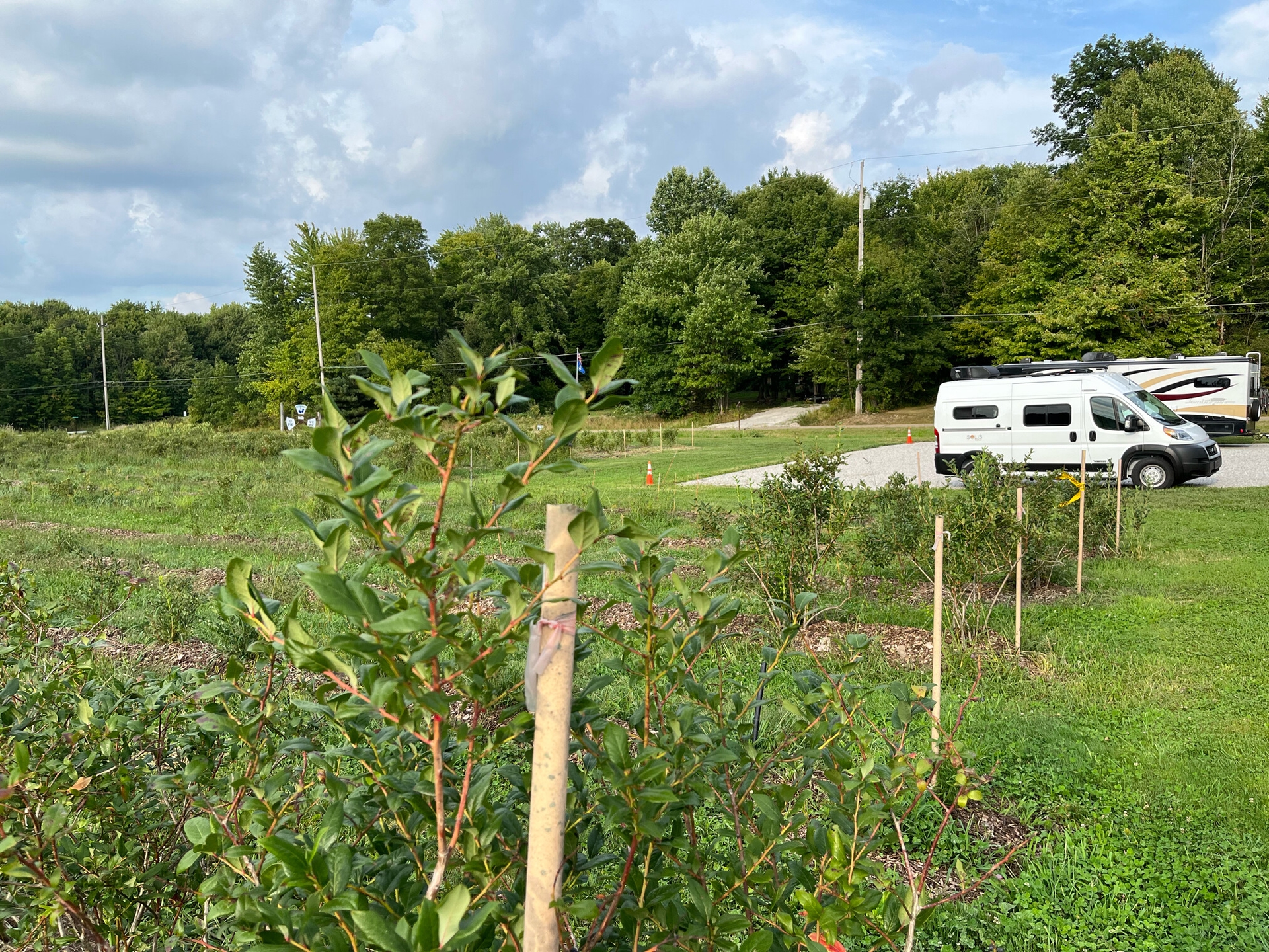hh_messenger-century-farm_mid_341018_marion-huijs_22-09-06_R1OOAkP5BinUWd4p_c795ef2742d876f40fa64282f5911edf.jpg