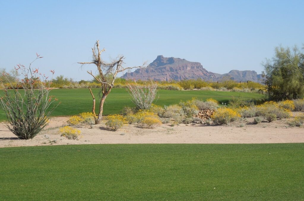 Longbow Golf Club is one of our awesome Harvest Hosts golf locations in Phoenix.