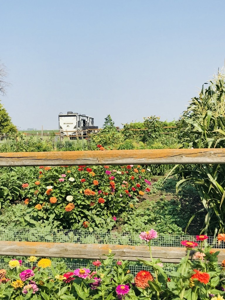 4e Winery allows guests to enjoy and meander through their gardens.