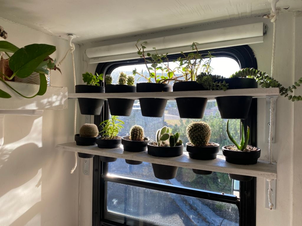 Caring for plant in an RV is not as difficult as it seems.