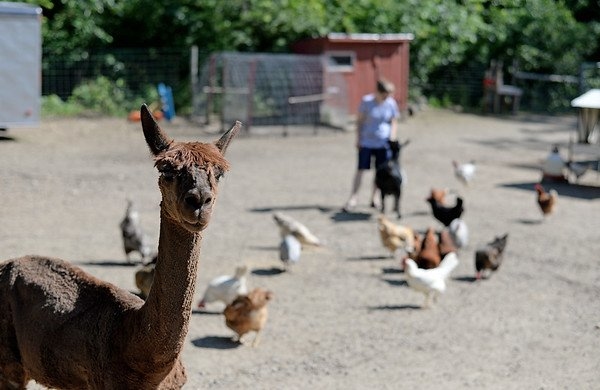 Snow Pond Farm is one of our incredible Harvest Hosts locations in New Hampshire.