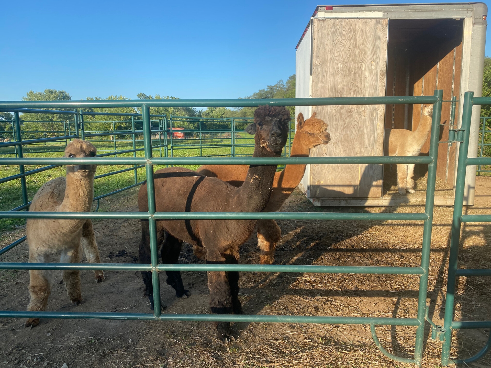 hh_holdfast-farms_mid_417290_linda-west_23-09-01_uct2zpOIWkjTcXq9_e6d7698b4947b082dbb5976020ff2f64.jpg