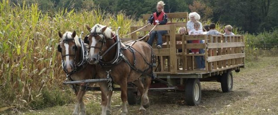 This is one of our amazing Harvest Hosts locations near Albany New York.