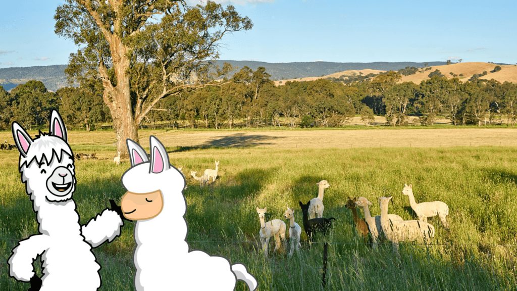 wp-content-uploads-2022-07-Get-To-Know-HaRVey-the-Alpaca-3-1024x576.png