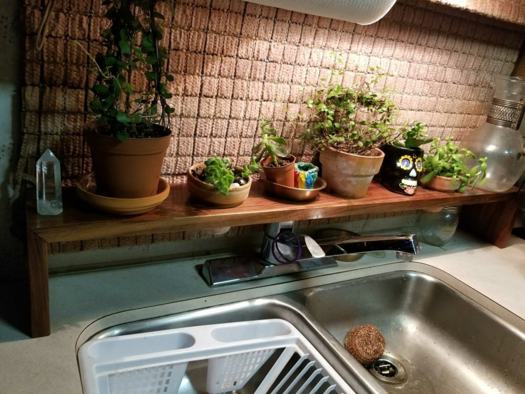 Potted herbs grow very well on windowsills.