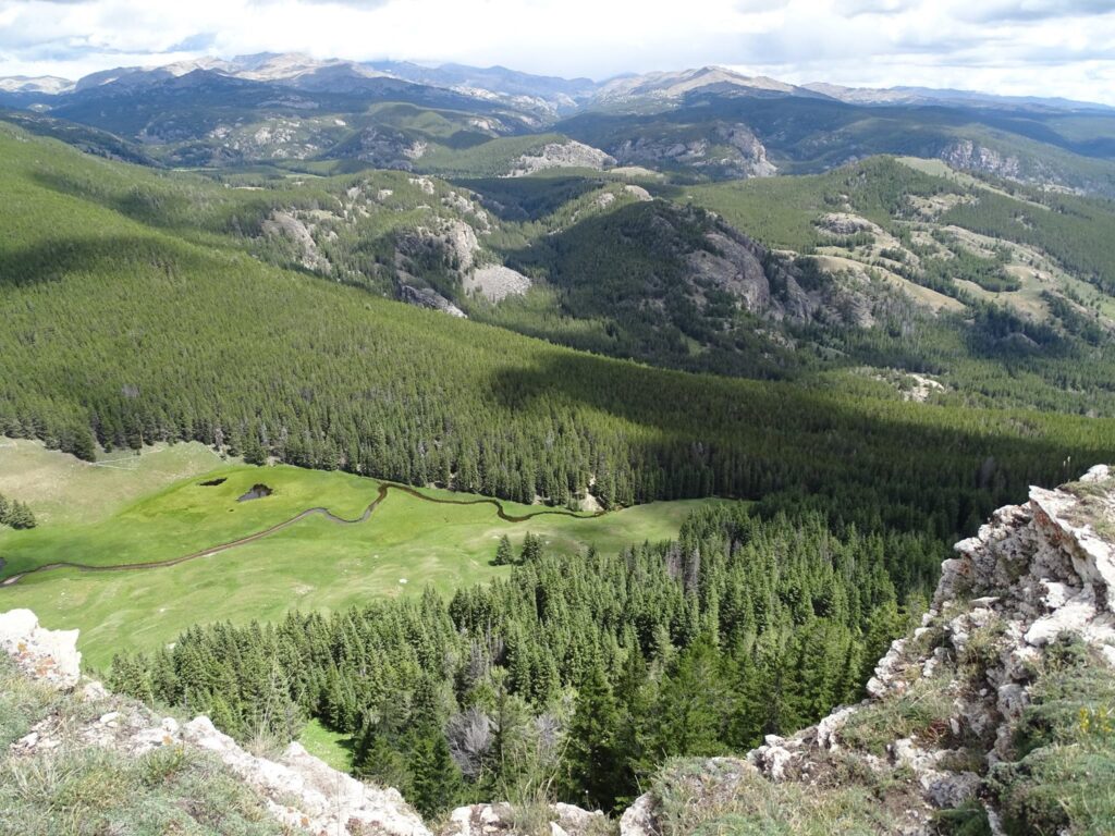 wp-content-uploads-2021-08-Bighorn-National-Forest-1024x768.jpg
