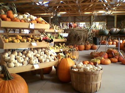 This farm is one of our awesome host locations in upstate New York.