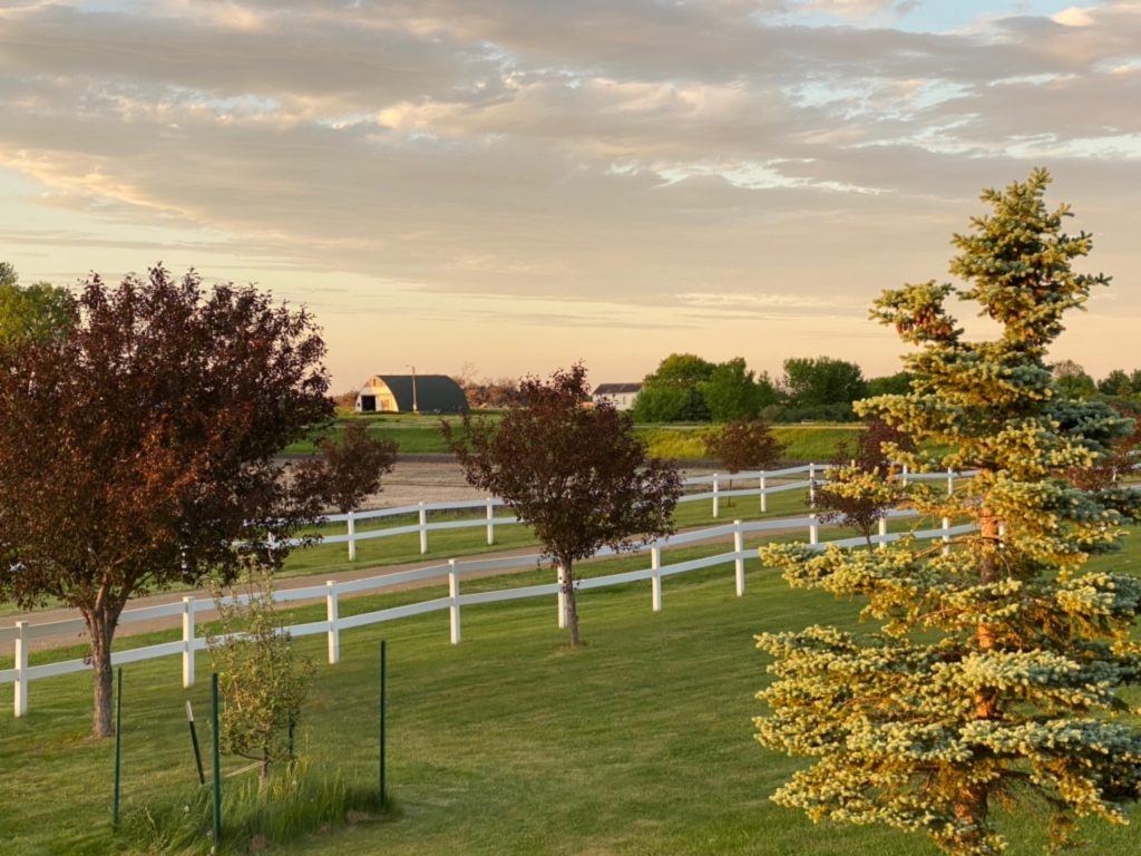 The Red Trail Vineyard property is just lovely.
