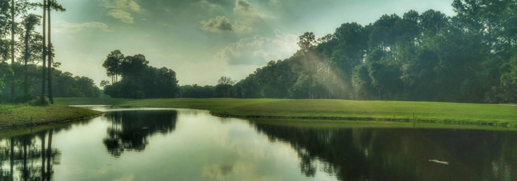You can see this sight in southern Georgia in your RV