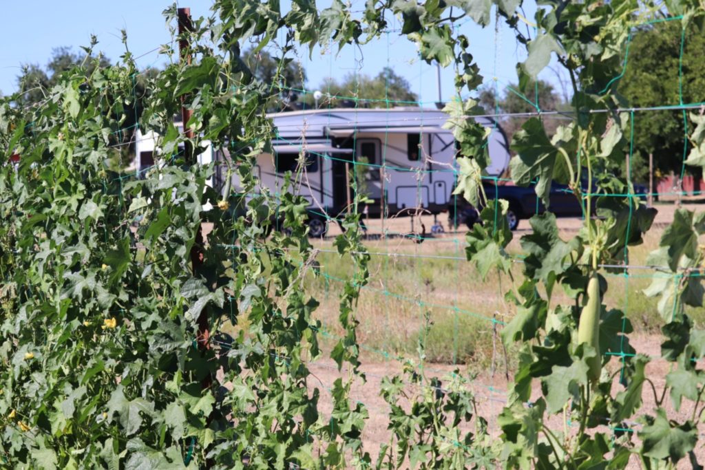 Moonbeam Farm is an incredible Harvest Hosts location in Northeastern California,