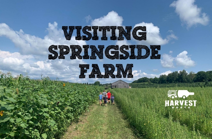 Visiting Springside Farm