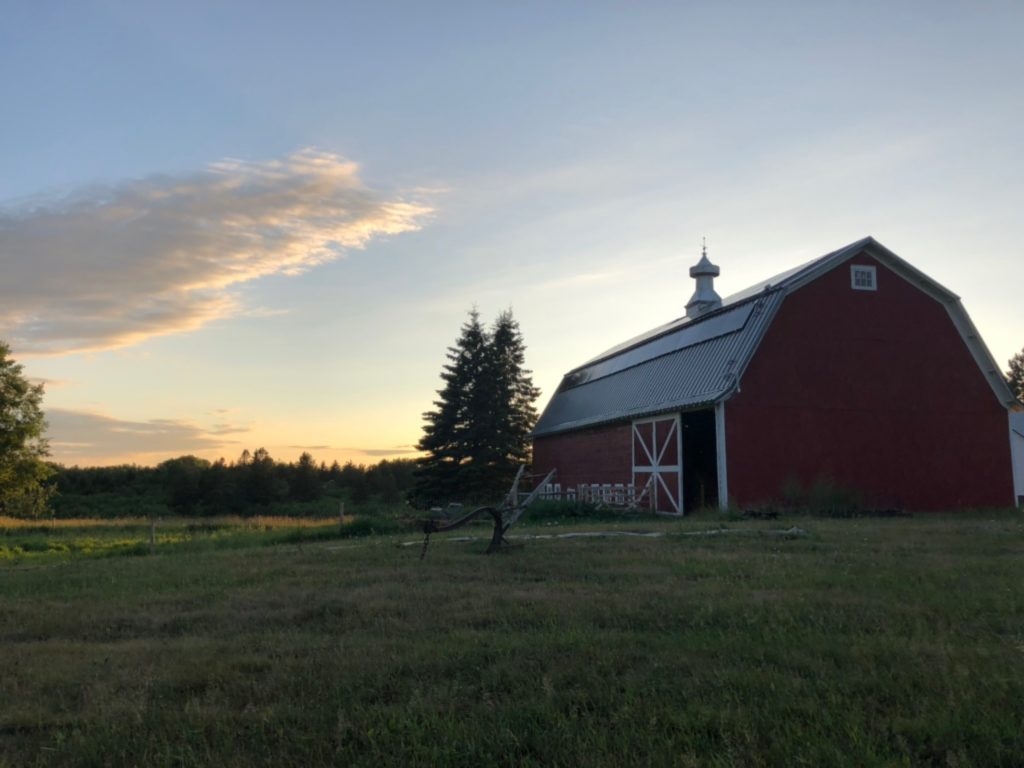 Canosia Grove is an awesome Harvest Hosts location in Minnesota.