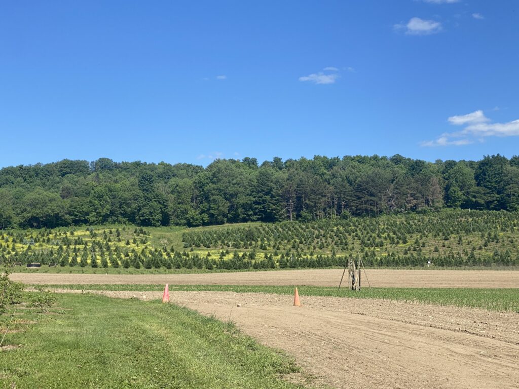 Springside Farm is one of our awesome host locations in upstate New York.