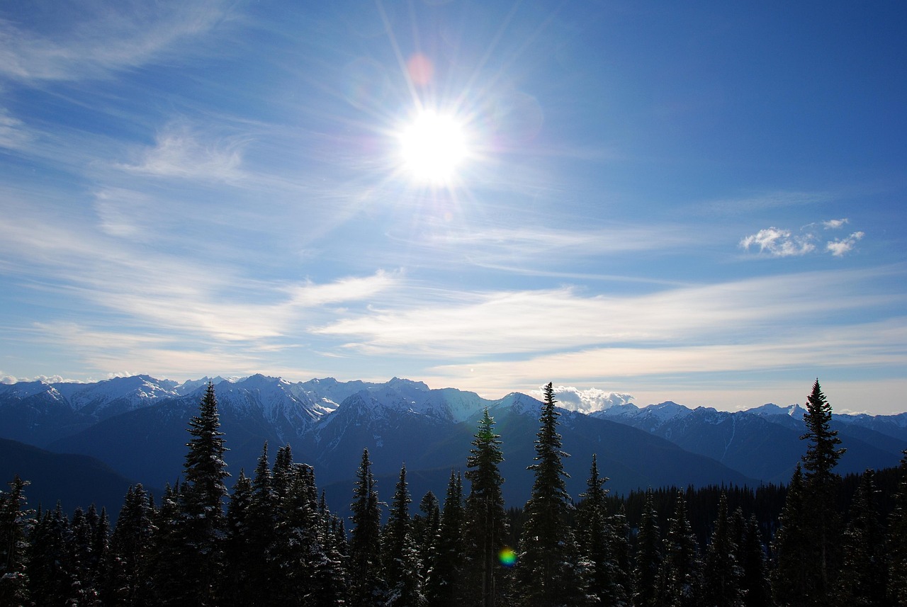 olympic-national-park-7058565_1280.jpg