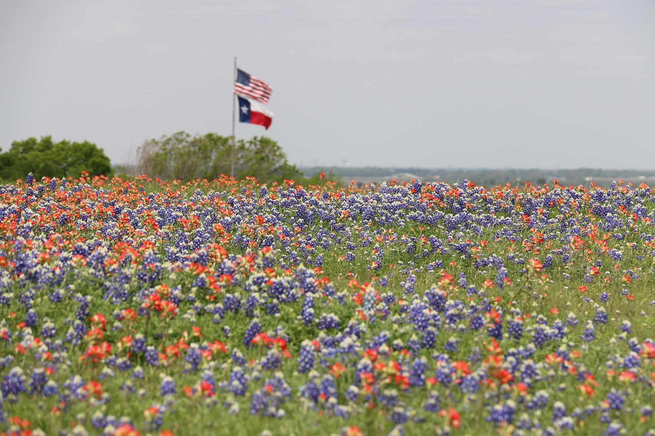 flags-1188055_1280.jpg