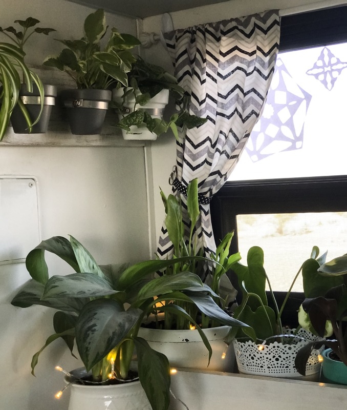 Utilizing vertical and wall space is key for your plants.