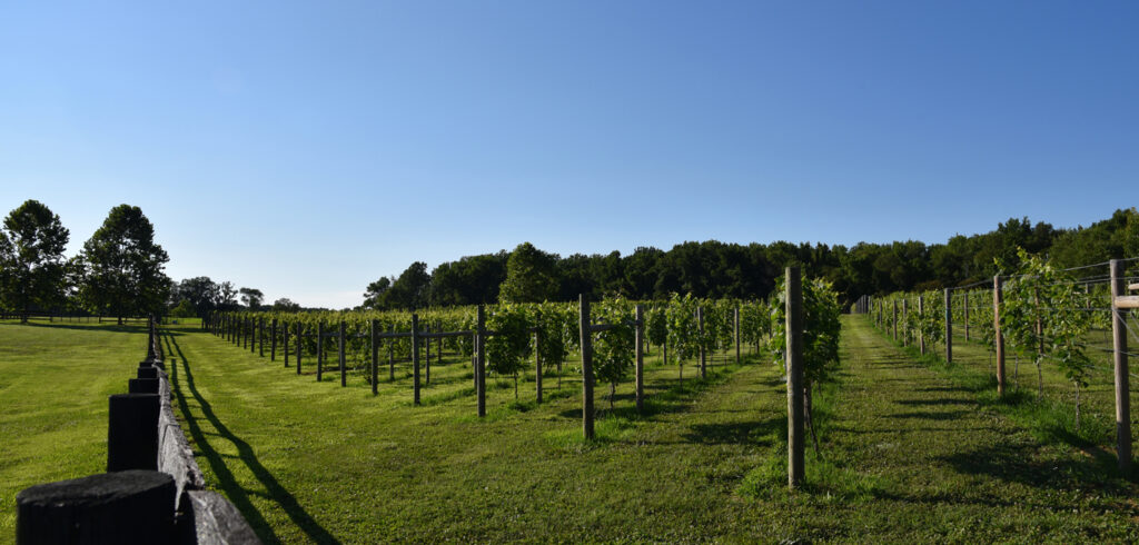 wp-content-uploads-2021-05-Broken-Spoke-Vineyard-Winery-1024x490.jpg