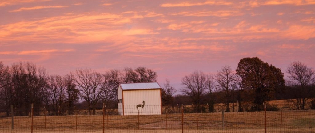 Zena Suri Alpacas is located in Northeastern Oklahoma.