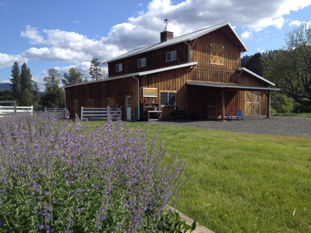 wp-content-uploads-2020-06-lavender-fields-forever-1024x768.jpg
