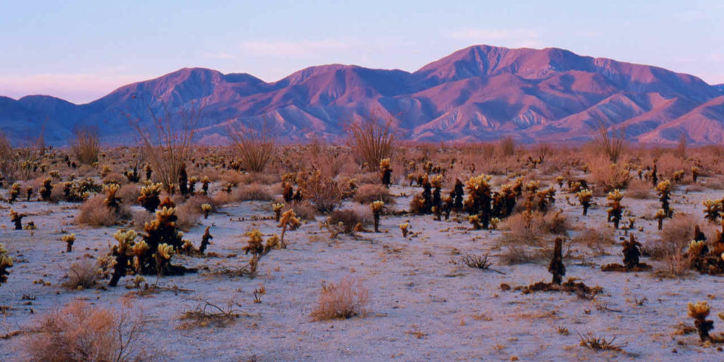 anza-borrego view