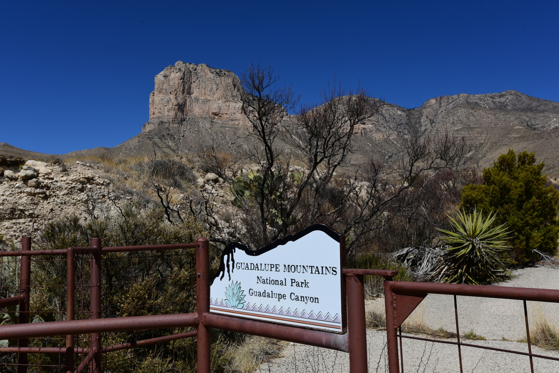 Guadalupe Nat Park.jpg