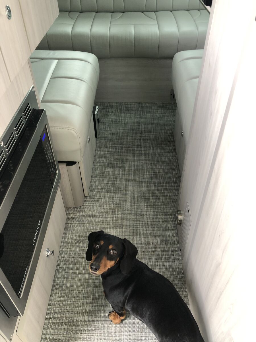 RVing with Dogs 2.jpg
