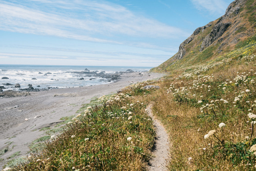 Lost Coast on a sunny day