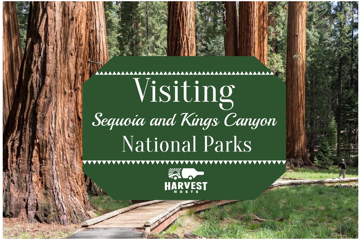 Visiting Sequoia and Kings Canyon National Parks in your RV