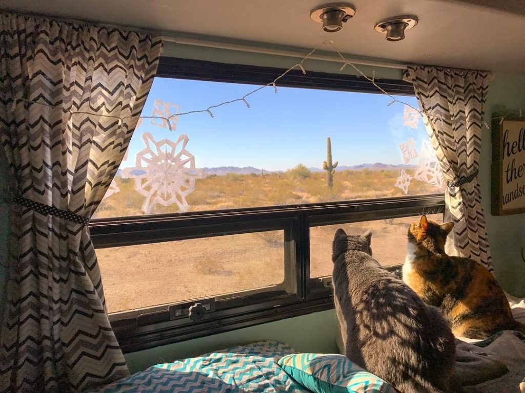 Be sure to soak in the Christmas desert views whenever possible.