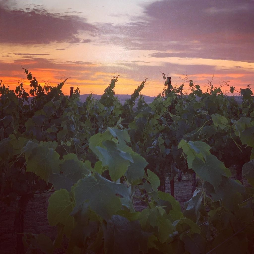 Bon Niche Cellars is a fantastic Harvest Hosts location.