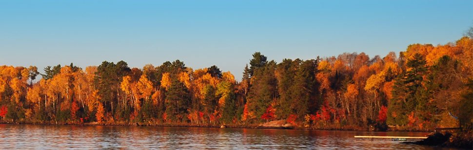 wp-content-uploads-2019-09-minnesota.jpg