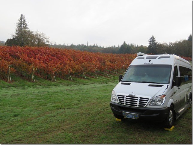 wp-content-uploads-2020-06-delfino-vineyards.jpg