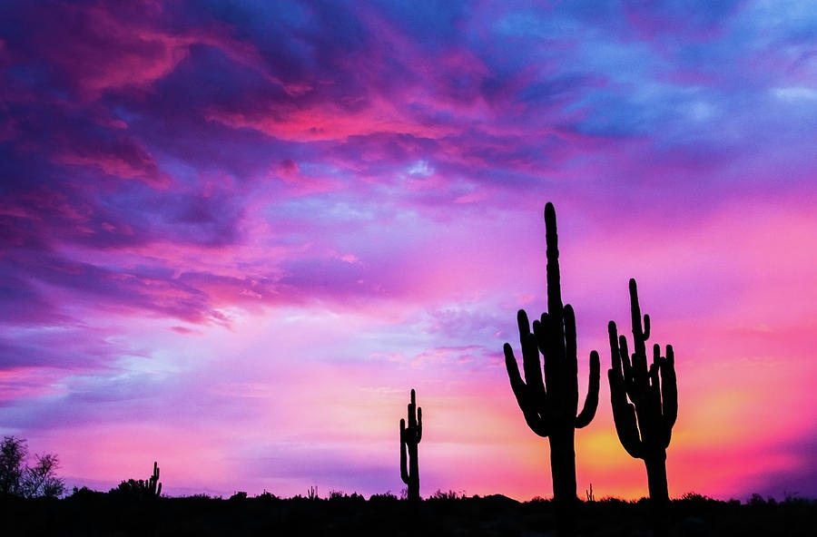 Plan to watch the sun go down in the desert on Christmas.