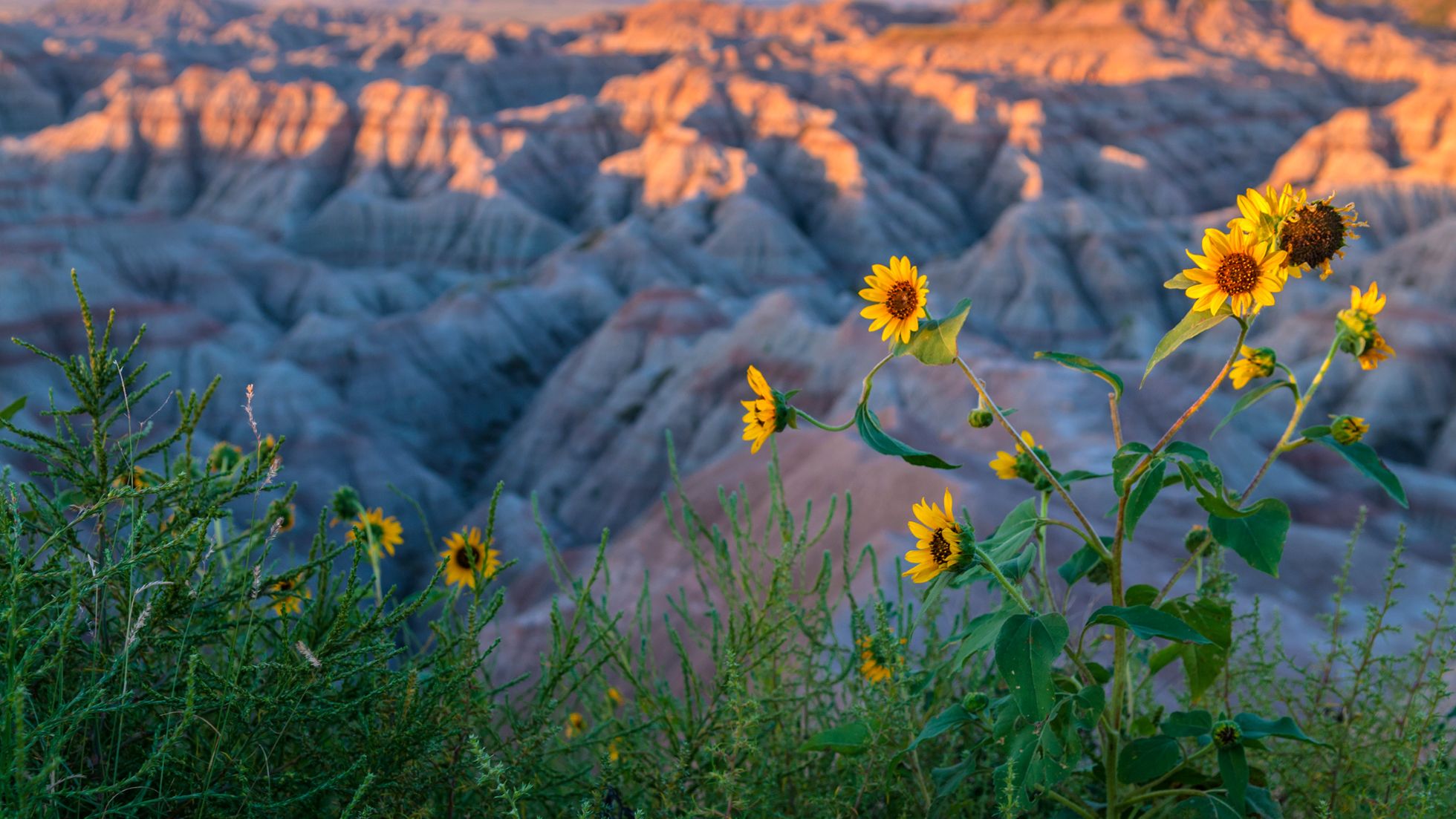 Visiting the Black Hills Region of Western South Dakota