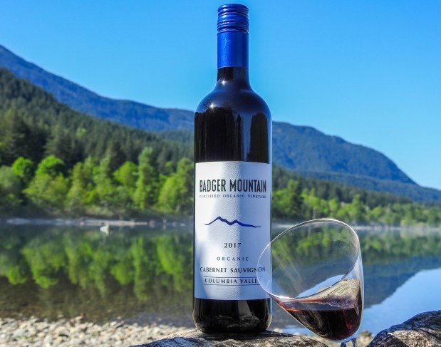 wp-content-uploads-2021-08-Badger-Mountain-Organic-Winery-Photo-credit-Drink-in-Life-1.jpg