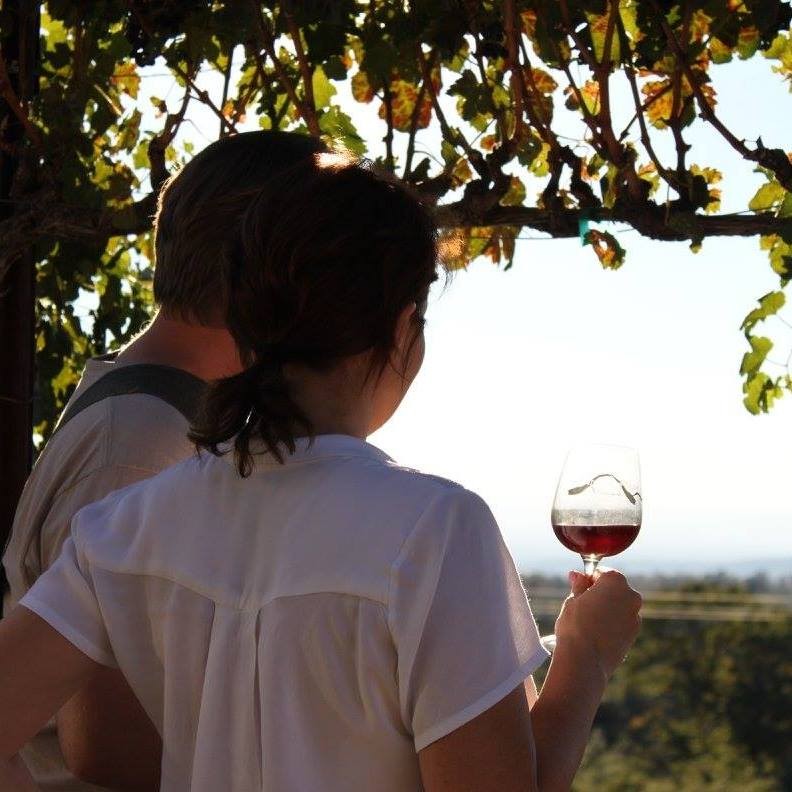 People from all over the country come to visit and enjoy wine at this gorgeous Manton vineyard.