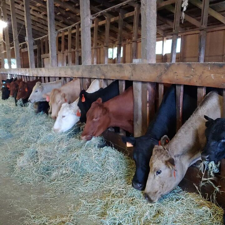 wp-content-uploads-2022-01-Franks-Farm.jpg
